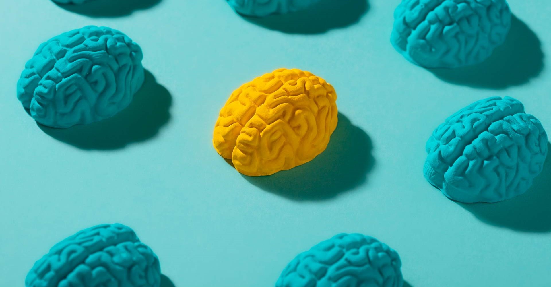 Как развить левое полушарие мозга: эффективные упражнения для детей и взрослых Как развить левое полушарие мозга: эффективные упражнения для детей и взрослых