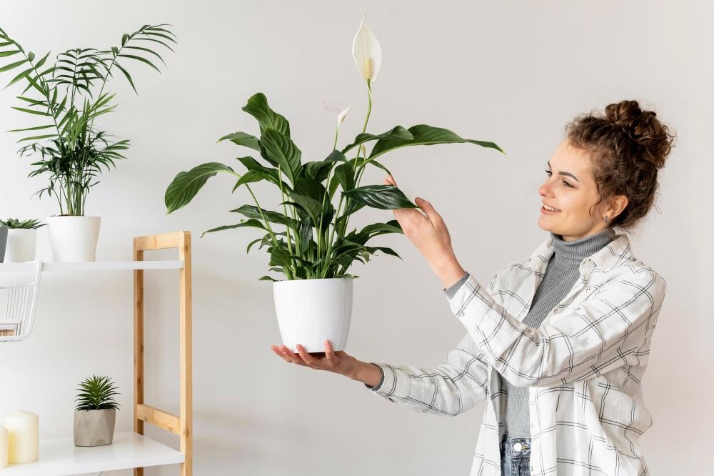 Способность видеть прекрасное