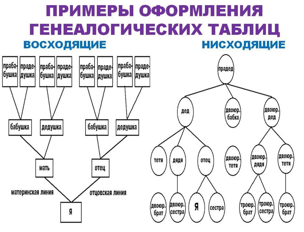 Первые в роду явилась. Как составляется схема родословной. Как составляется родословная семьи. Как составить родословную семьи образец. Как составить родословная семьи схема.