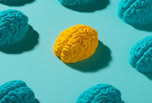 Как развить левое полушарие мозга: эффективные упражнения для детей и взрослых