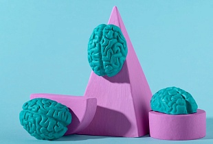 Нейропсихология: история развития, направления, методы