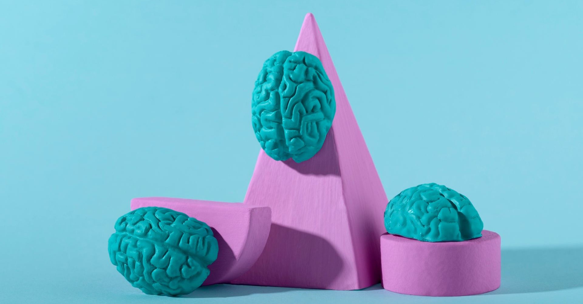 Нейропсихология: история развития, направления, методы Нейропсихология: история развития, направления, методы